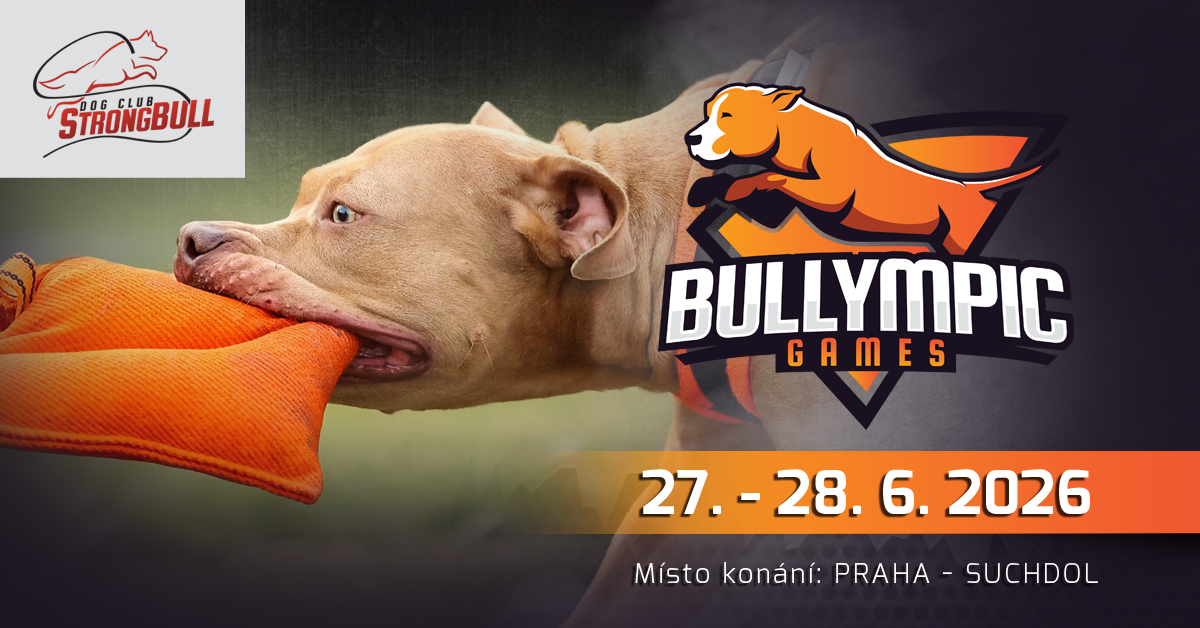 Fotka z Bullympic Games II / 2026